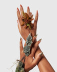 Inner Alchemy Set