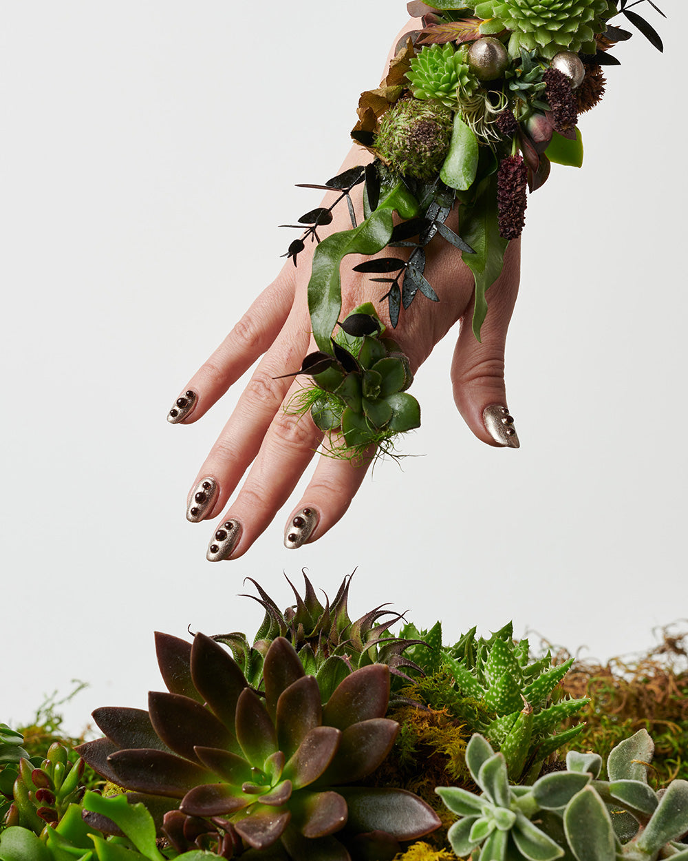 Metamorphosis Kit